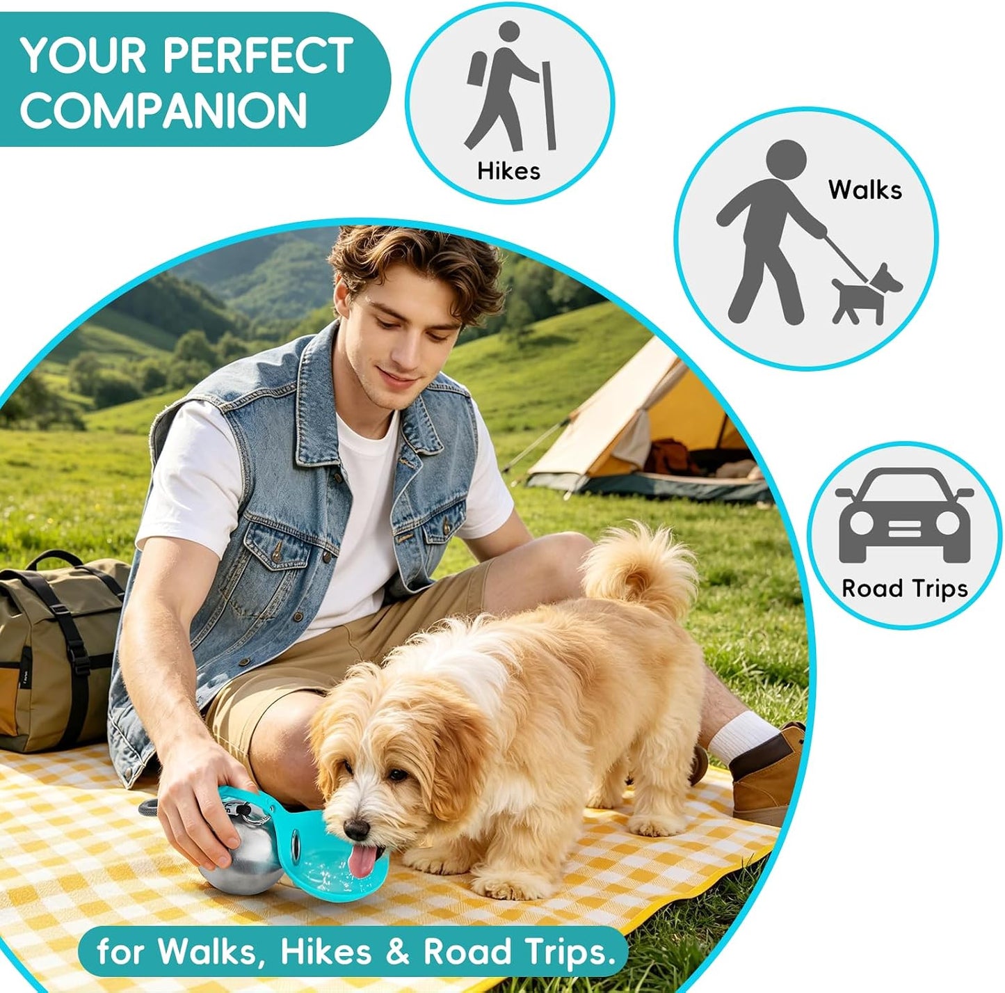 2 in 1 Portable Dog Water Bottle, 10oz Stainless Steel Leak Proof Pet Water Bottle with Foldable Silicone Bowl, Outdoor Travel Water Bottle for Dogs Walking Hiking Camping, 1 Pack Blue