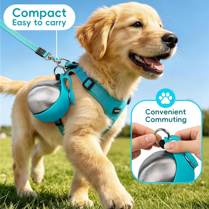 2 in 1 Portable Dog Water Bottle, 10oz Stainless Steel Leak Proof Pet Water Bottle with Foldable Silicone Bowl, Outdoor Travel Water Bottle for Dogs Walking Hiking Camping, 1 Pack Blue